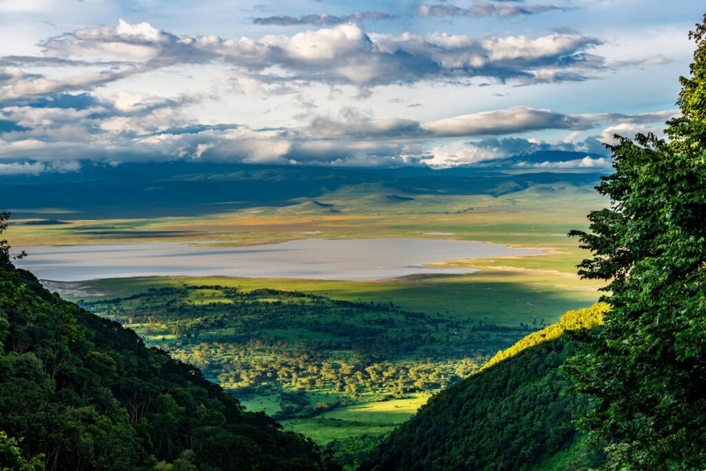 Elevated,View,Of,Floor,Of,Ngorongoro,Crater,From,The,Southern 6-Day Season for the Calving of Wildebeest in Ndutu Area