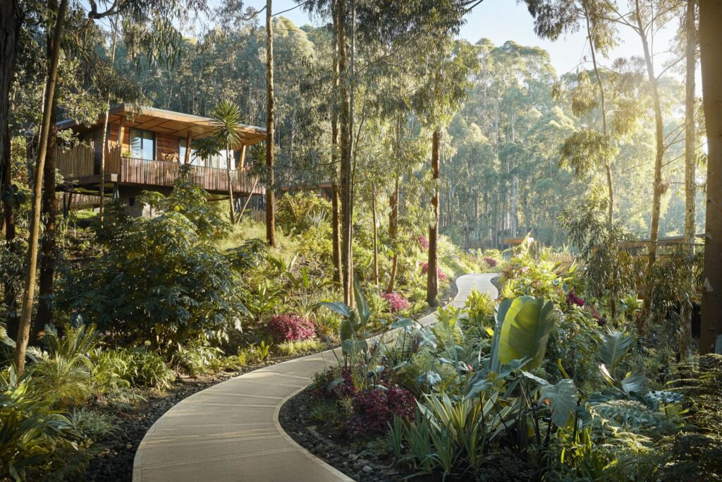One&Only Gorilla’s Nest Rwanda: Luxury Gorilla Trekking Resort 