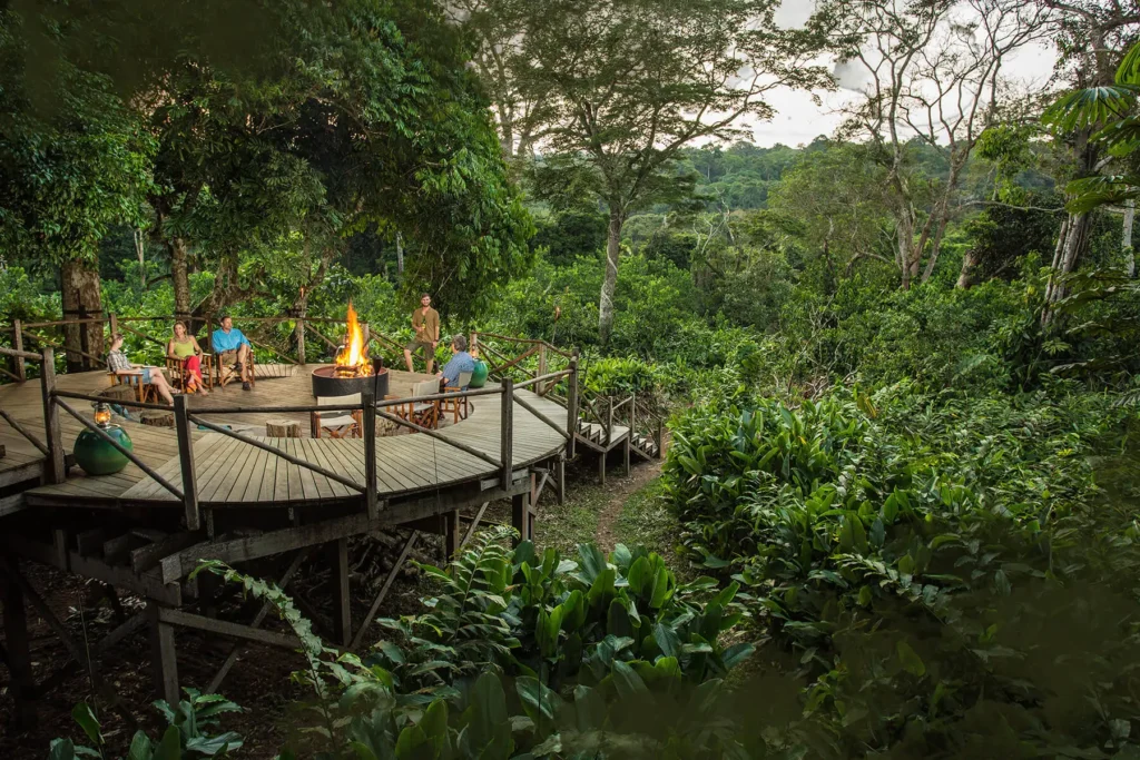 Atelier-Africa-Safaris-Congo-Brazzaville-Odzala1 Tri-National Congo Basin Safari