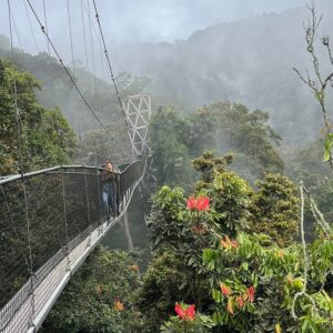 14-Day Rwanda Gorilla Trekking, Kenya Safari & Zanzibar Beach Holiday | Luxury East Africa Tour