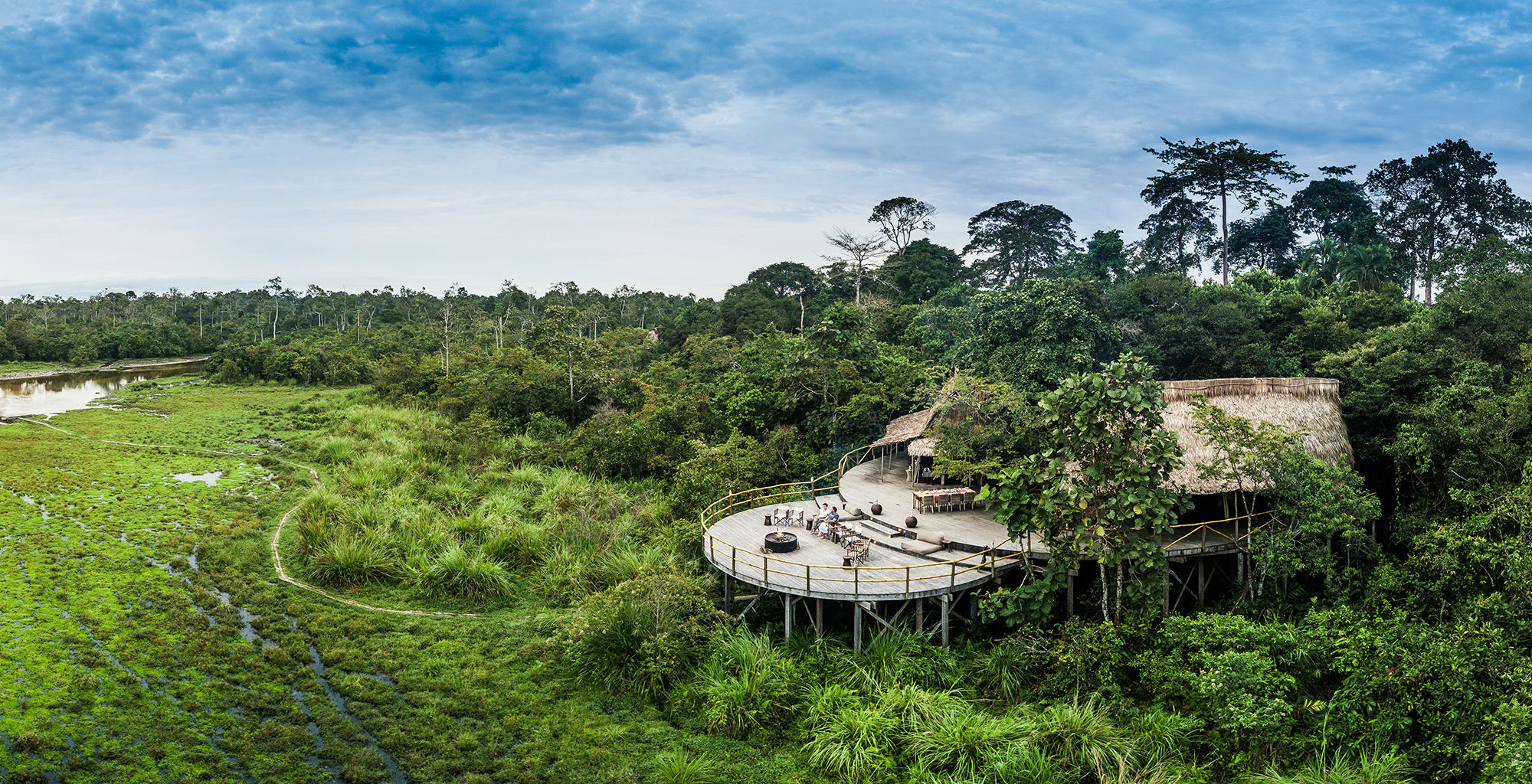Tri-National Congo Basin Safari