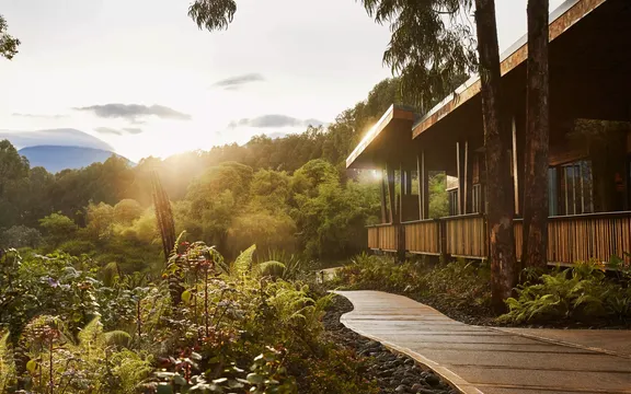One&Only Gorilla’s Nest Rwanda