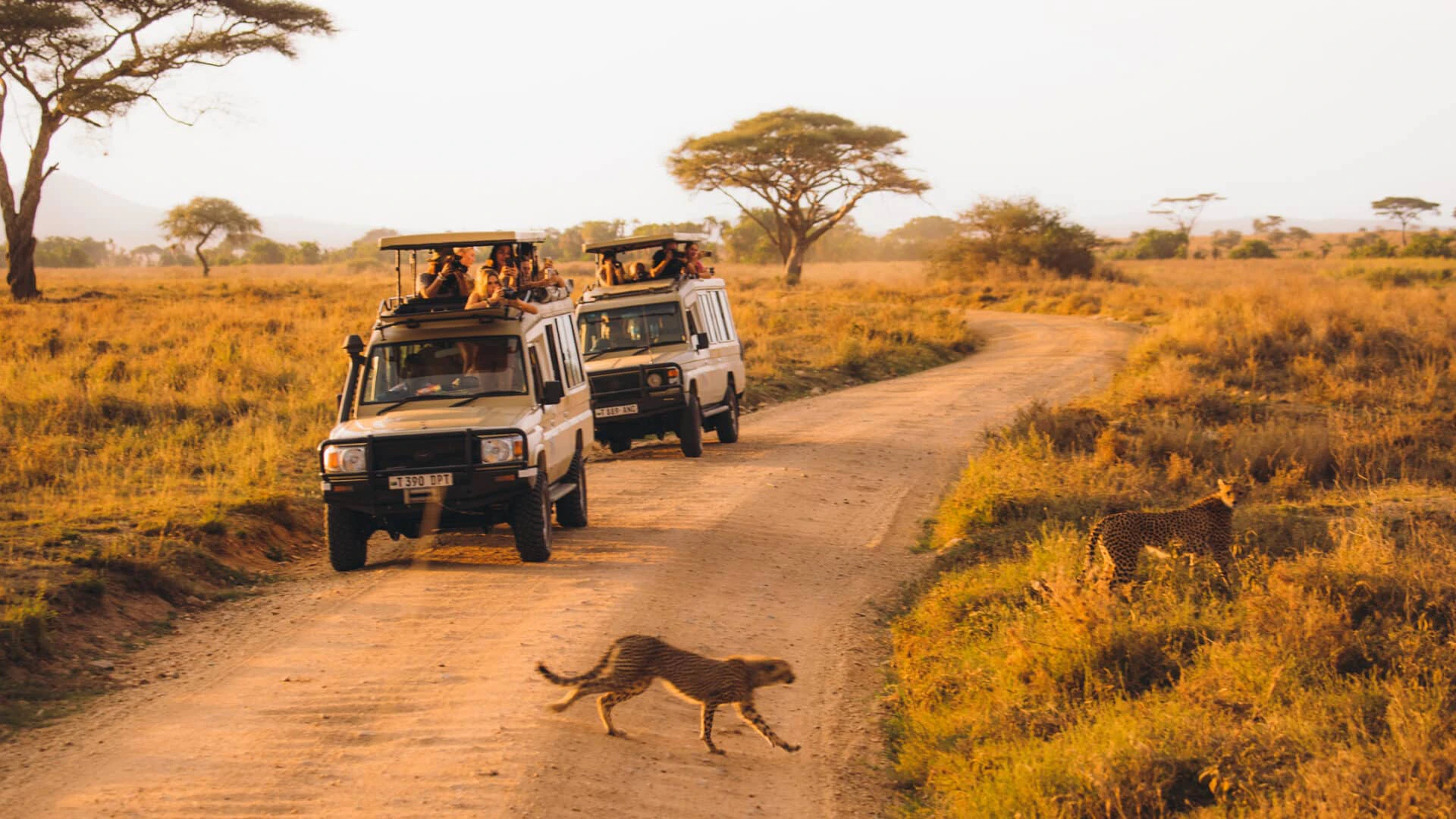 Continental Travel and Tours, an African tour operator guiding safaris across the continent