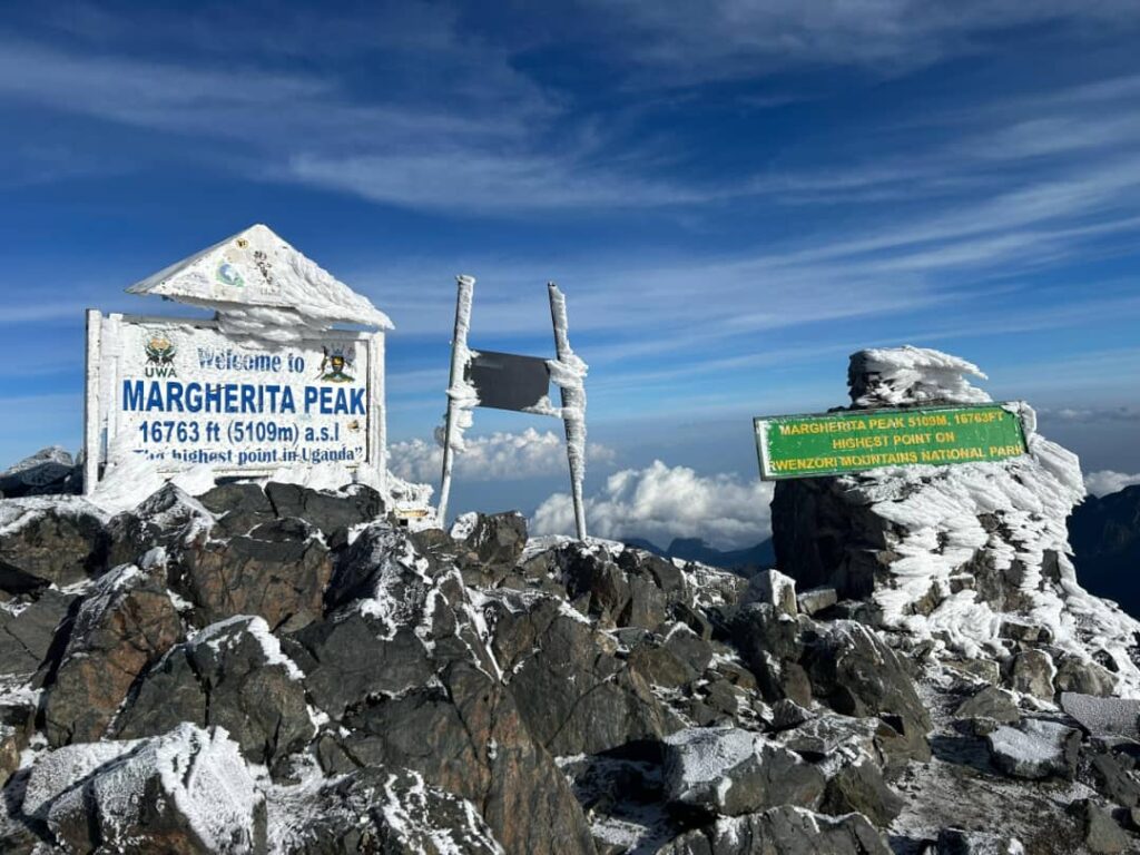 Rwenzori Mountain Trek