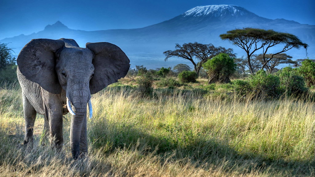 9 Day Ultimate Wildlife Safari & Tropical Beach Escape