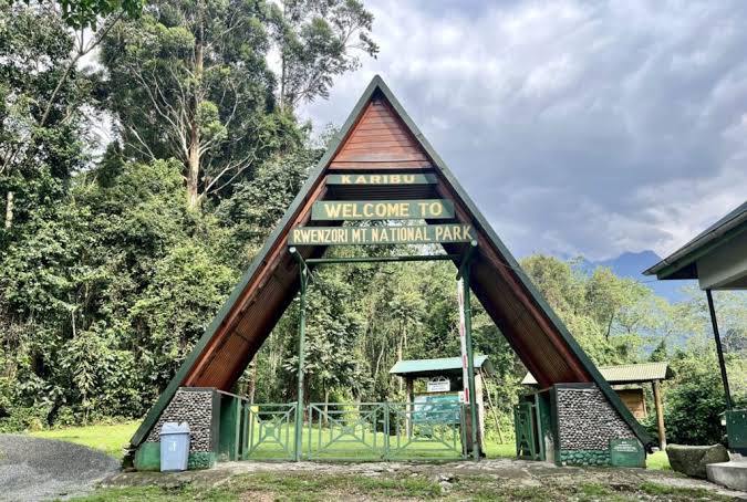 7-Day Mountain Rwenzori Trek 7-Day Mountain Rwenzori Trek