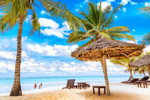 9-Day Ultimate Wildlife Safari & Tropical Beach Escape 9-Day Ultimate Wildlife Safari & Tropical Beach Escape