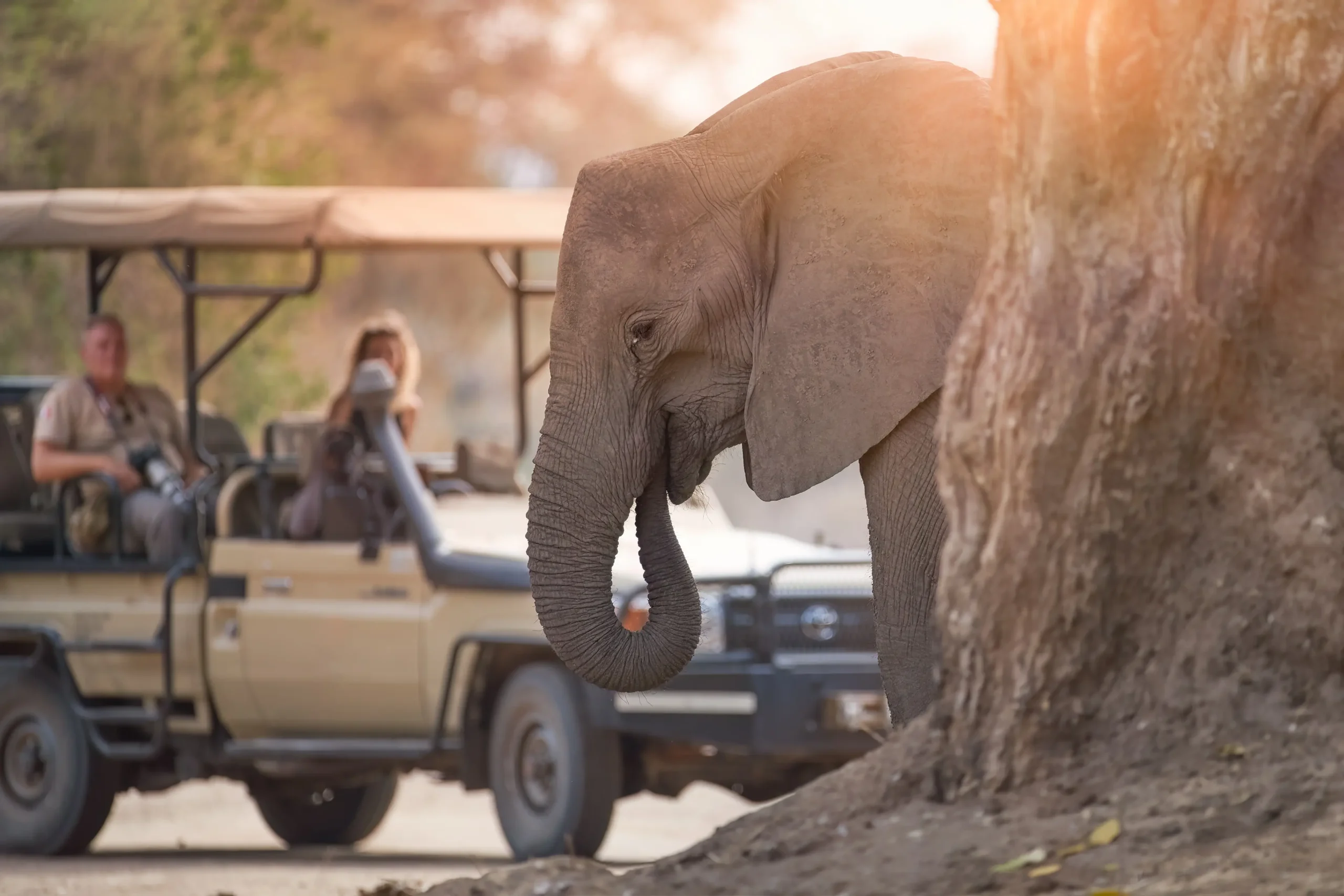 Akagera Safari