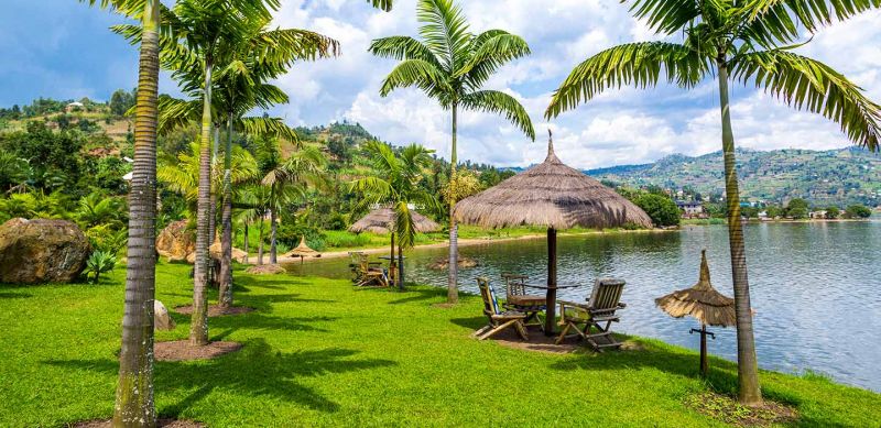 Romantic forest lodge featured in the Rwanda Honeymoon Guide