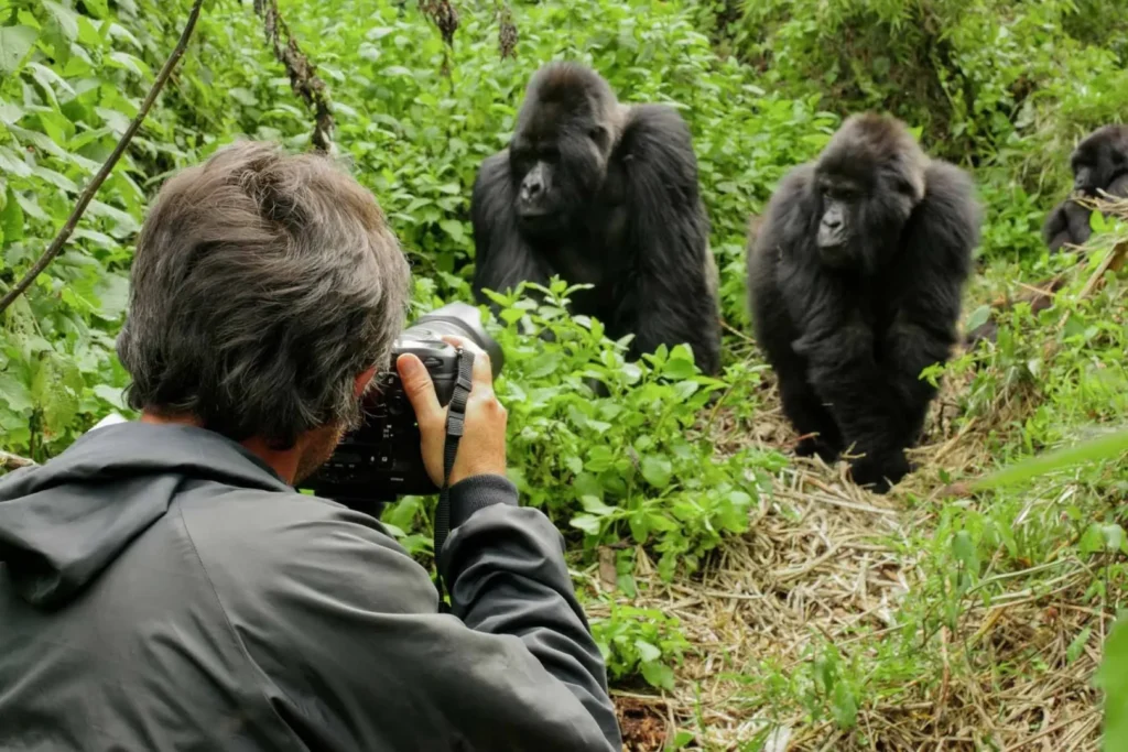 Rwanda Honeymoon cost